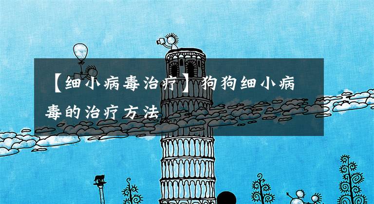 【细小病毒治疗】狗狗细小病毒的治疗方法