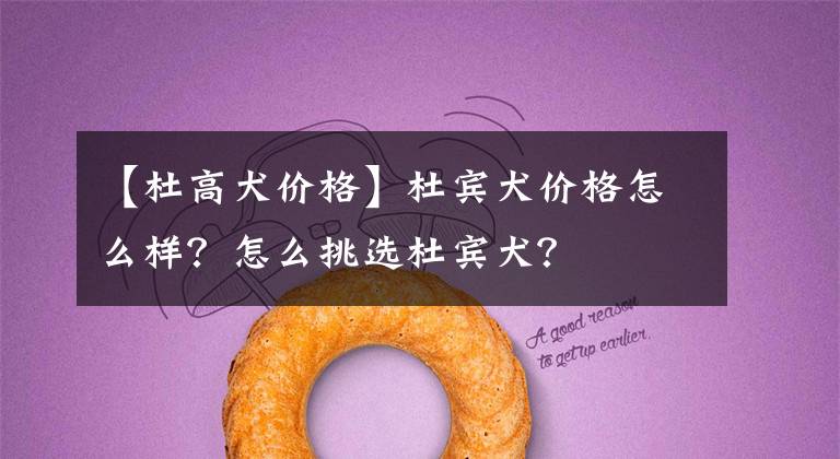 【杜高犬价格】杜宾犬价格怎么样？怎么挑选杜宾犬？