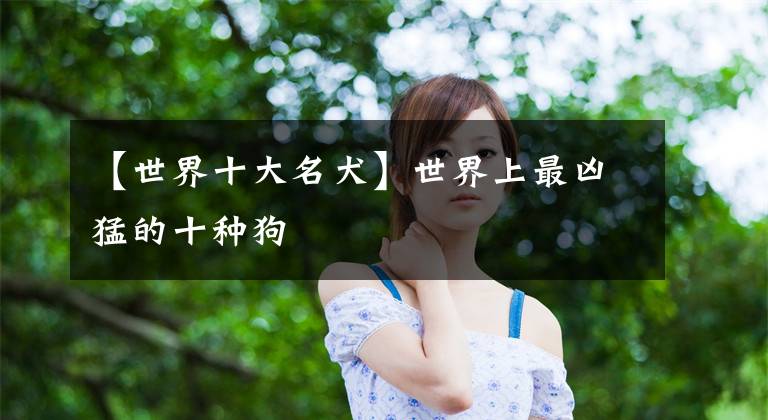 【世界十大名犬】世界上最凶猛的十种狗