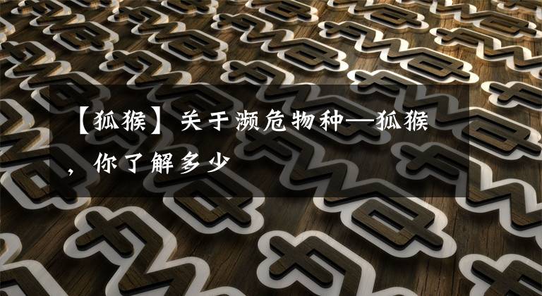 【狐猴】关于濒危物种—狐猴，你了解多少