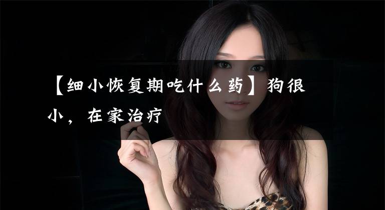 【细小恢复期吃什么药】狗很小，在家治疗