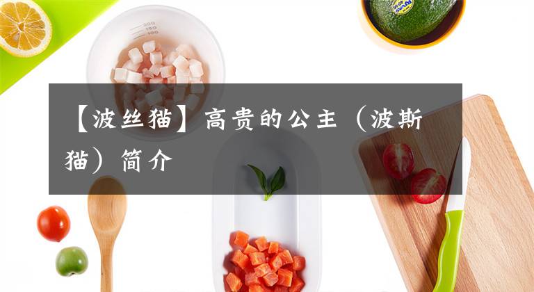 【波丝猫】高贵的公主（波斯猫）简介