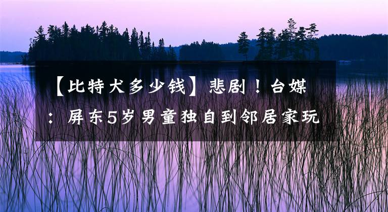 【比特犬多少钱】悲剧！台媒：屏东5岁男童独自到邻居家玩，被比特犬紧咬腹部身亡
