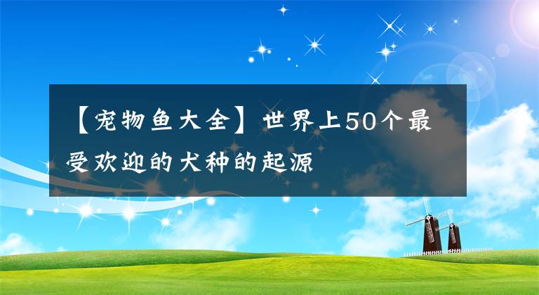【宠物鱼大全】世界上50个最受欢迎的犬种的起源