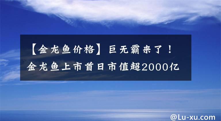 【金龙鱼价格】巨无霸来了！金龙鱼上市首日市值超2000亿，但无缘创业板第一