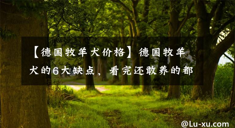 【德国牧羊犬价格】德国牧羊犬的6大缺点，看完还敢养的都是真爱