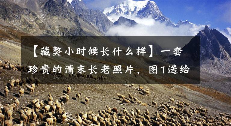 【藏獒小时候长什么样】一套珍贵的清末长老照片，图1送给英国女王，图7很凶！