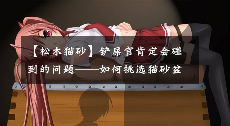 【松木猫砂】铲屎官肯定会碰到的问题——如何挑选猫砂盆