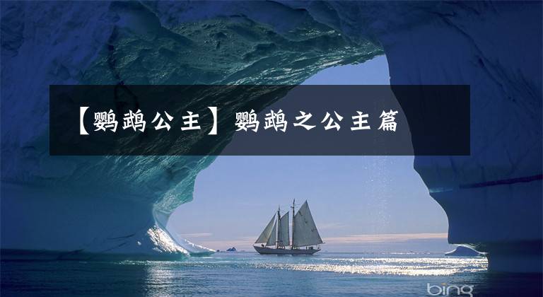 【鹦鹉公主】鹦鹉之公主篇