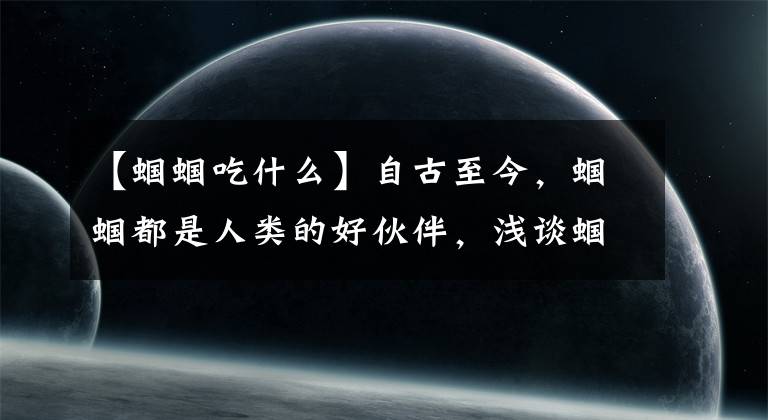 【蝈蝈吃什么】自古至今，蝈蝈都是人类的好伙伴，浅谈蝈蝈的历史与饲养