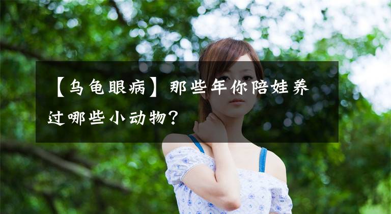 【乌龟眼病】那些年你陪娃养过哪些小动物？