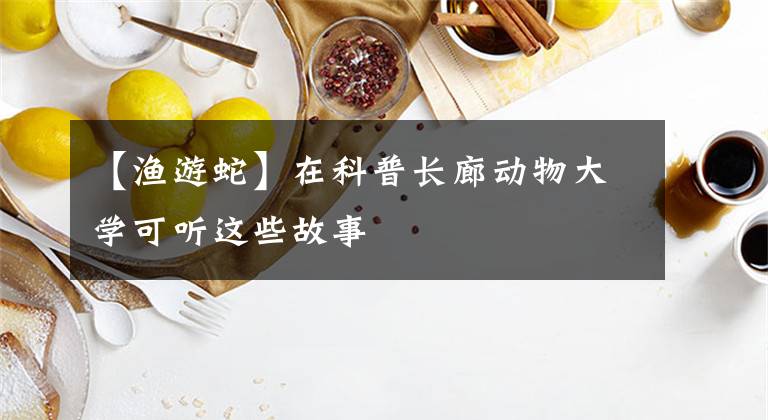 【渔游蛇】在科普长廊动物大学可听这些故事