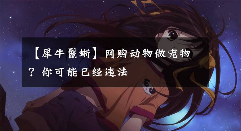 【犀牛鬣蜥】网购动物做宠物？你可能已经违法