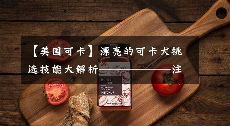 【美国可卡】漂亮的可卡犬挑选技能大解析——————注意看哦