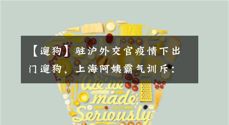 【遛狗】驻沪外交官疫情下出门遛狗，上海阿姨霸气训斥：你们和狗都没特权