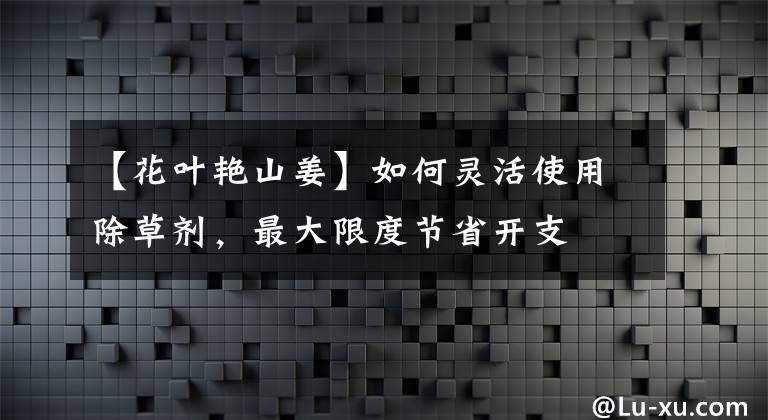 【花叶艳山姜】如何灵活使用除草剂，最大限度节省开支