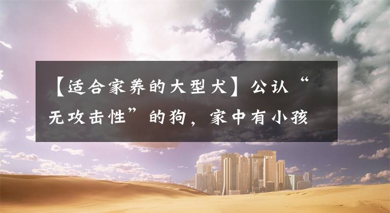 【适合家养的大型犬】公认“无攻击性”的狗，家中有小孩首选