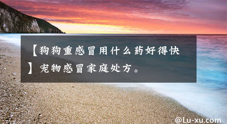 【狗狗重感冒用什么药好得快】宠物感冒家庭处方。