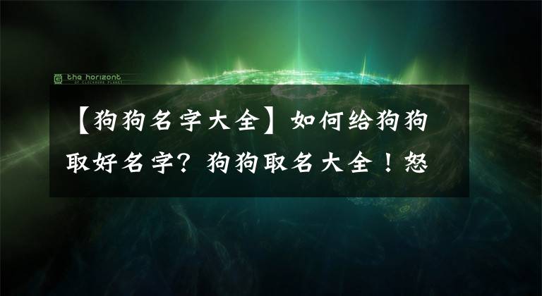 【狗狗名字大全】如何给狗狗取好名字？狗狗取名大全！怒收藏