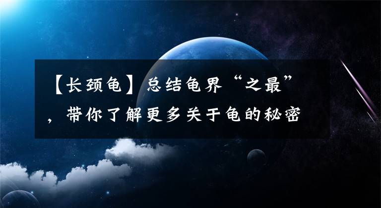 【长颈龟】总结龟界“之最”，带你了解更多关于龟的秘密