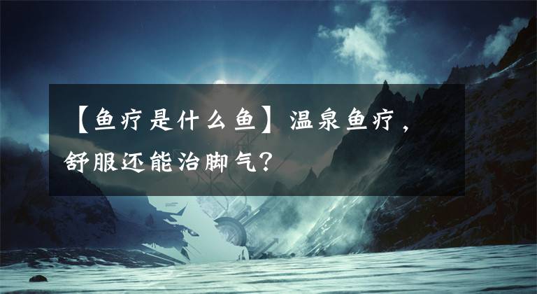【鱼疗是什么鱼】温泉鱼疗，舒服还能治脚气？