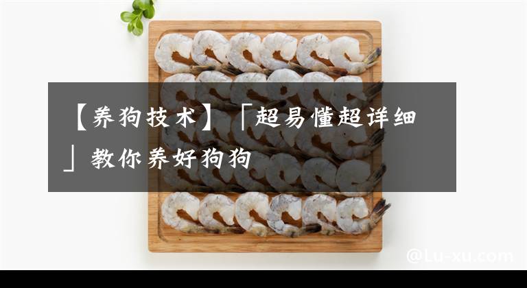 【养狗技术】「超易懂超详细」教你养好狗狗
