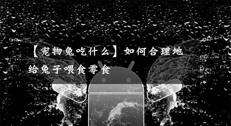 【宠物兔吃什么】如何合理地给兔子喂食零食