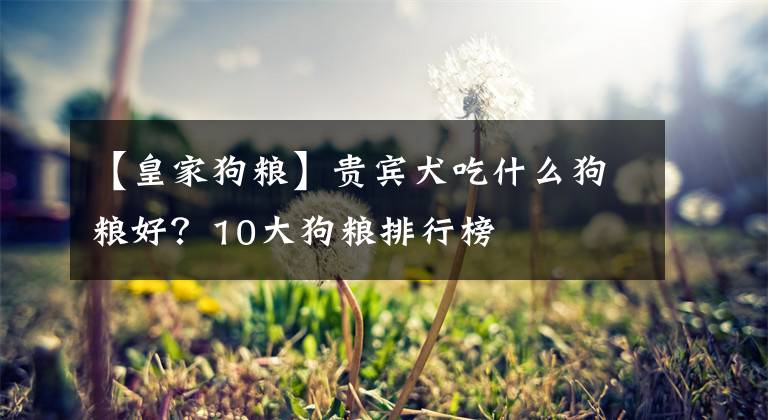 【皇家狗粮】贵宾犬吃什么狗粮好？10大狗粮排行榜