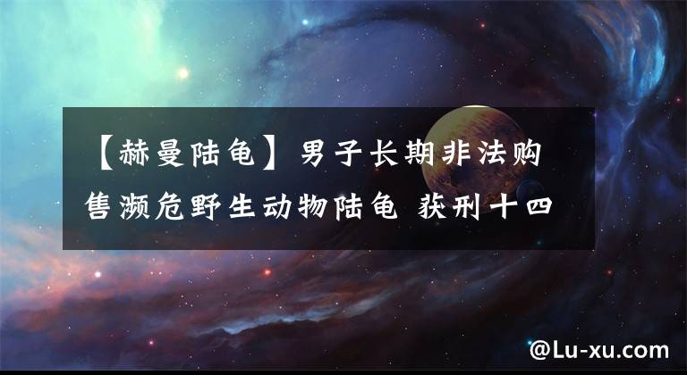 【赫曼陆龟】男子长期非法购售濒危野生动物陆龟 获刑十四年