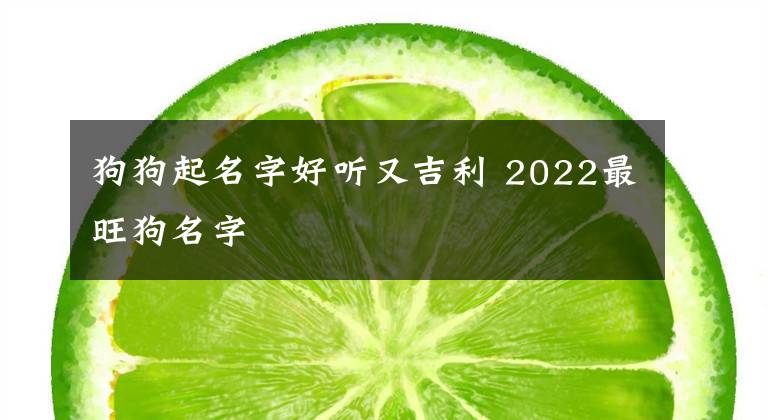 狗狗起名字好听又吉利 2022最旺狗名字