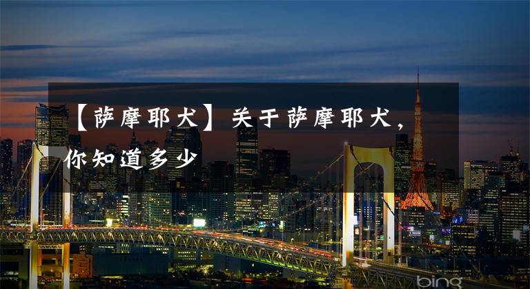 【萨摩耶犬】关于萨摩耶犬，你知道多少