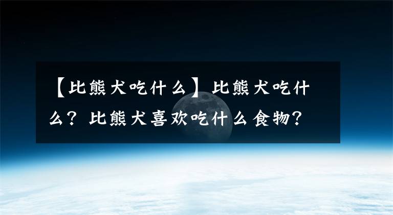 【比熊犬吃什么】比熊犬吃什么？比熊犬喜欢吃什么食物？