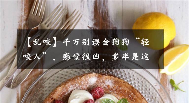 【乱咬】千万别误会狗狗“轻咬人”，感觉很凶，多半是这样想