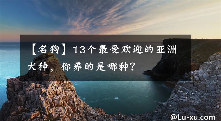【名狗】13个最受欢迎的亚洲犬种，你养的是哪种？