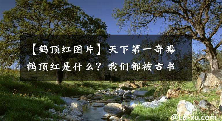 【鹤顶红图片】天下第一奇毒鹤顶红是什么？我们都被古书中的记载给骗了