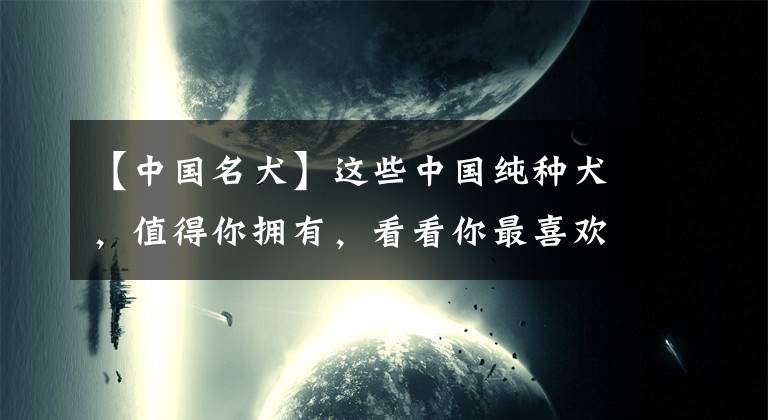 【中国名犬】这些中国纯种犬，值得你拥有，看看你最喜欢哪一个吧