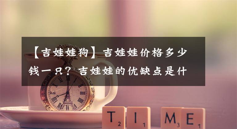 【吉娃娃狗】吉娃娃价格多少钱一只？吉娃娃的优缺点是什么？