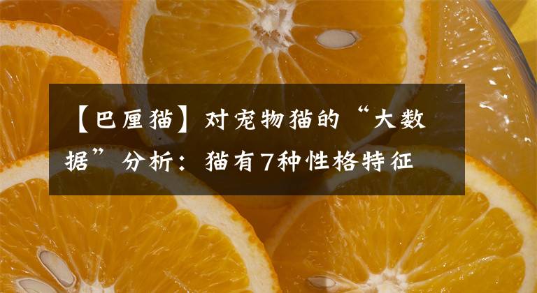 【巴厘猫】对宠物猫的“大数据”分析：猫有7种性格特征