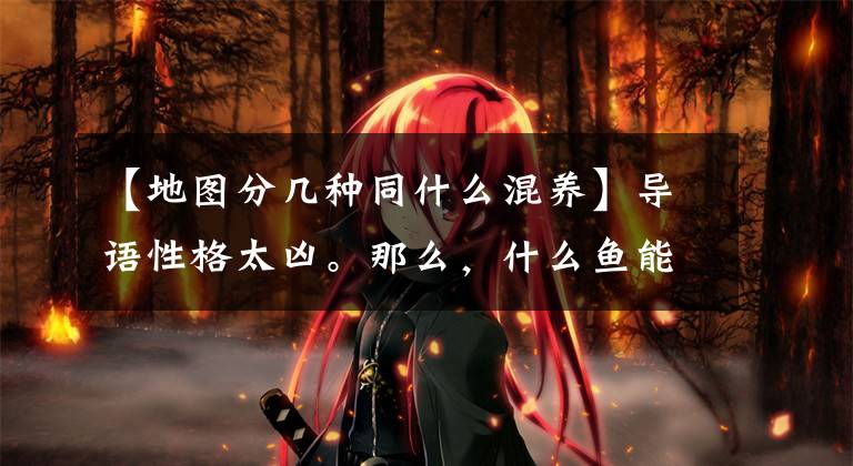 【地图分几种同什么混养】导语性格太凶。那么，什么鱼能和它混在一起呢？