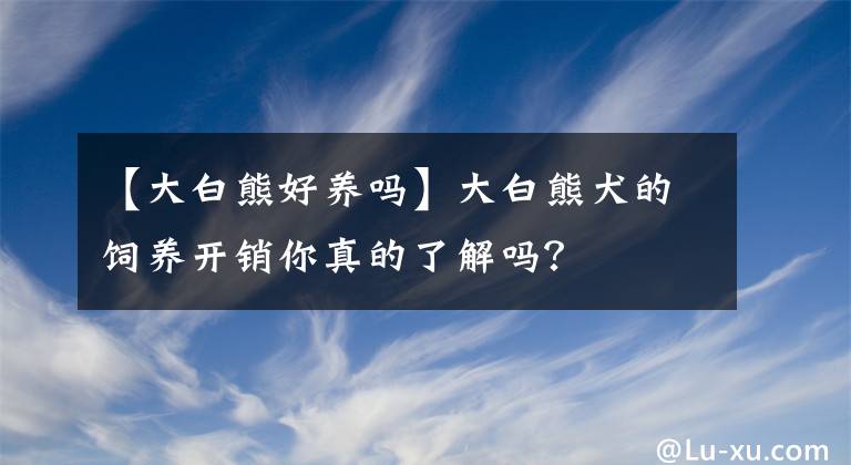 【大白熊好养吗】大白熊犬的饲养开销你真的了解吗？