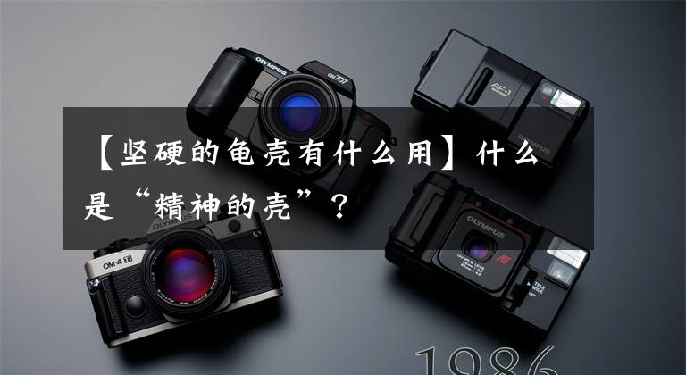 【坚硬的龟壳有什么用】什么是“精神的壳”？