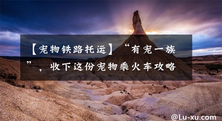 【宠物铁路托运】“有宠一族”，收下这份宠物乘火车攻略