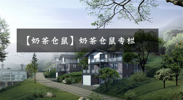 【奶茶仓鼠】奶茶仓鼠专栏