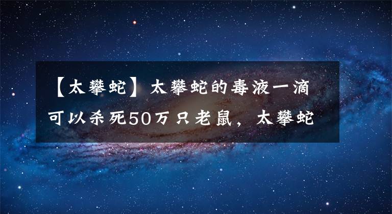 【太攀蛇】太攀蛇的毒液一滴可以杀死50万只老鼠，太攀蛇的毒液还在进化