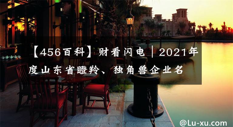 【456百科】财看闪电｜2021年度山东省瞪羚、独角兽企业名单公示，快来看看哪些企业上榜