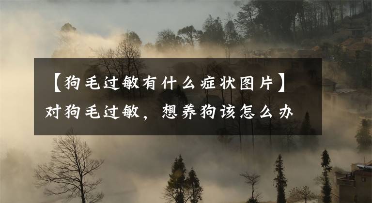 【狗毛过敏有什么症状图片】对狗毛过敏，想养狗该怎么办？咬紧牙关走远吗？勉强适应吗？事实上，有这个方法。