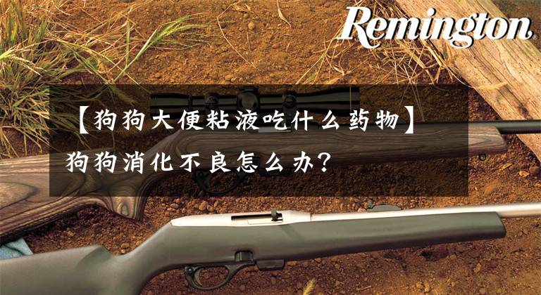 【狗狗大便粘液吃什么药物】狗狗消化不良怎么办？