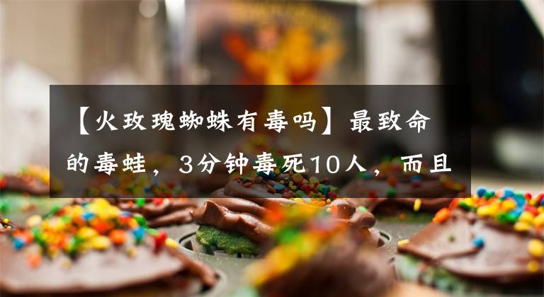 【火玫瑰蜘蛛有毒吗】最致命的毒蛙，3分钟毒死10人，而且它的毒没有解药