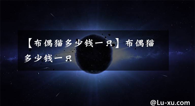 【布偶猫多少钱一只】布偶猫多少钱一只