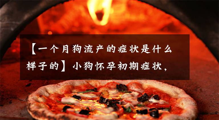 【一个月狗流产的症状是什么样子的】小狗怀孕初期症状，分娩注意事项